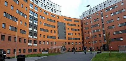 blog-image