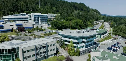 blog-image