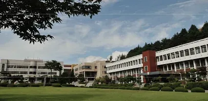 blog-image