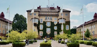 blog-image
