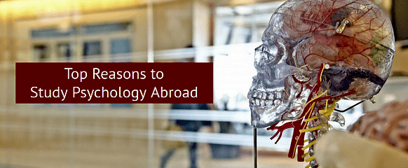 Study overseas