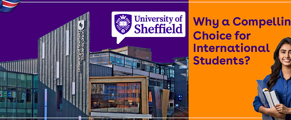 University of Sheffield
